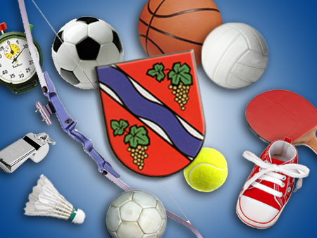 Sportvereine
