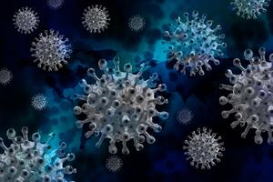 Bild vergrößern: Coronavirus