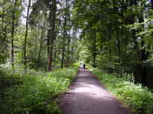 Stadtwald