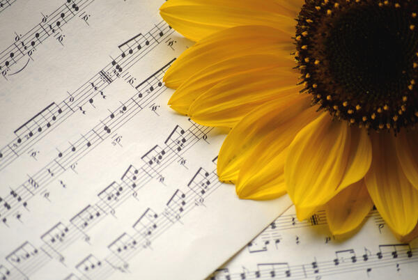 Sonnenblume mit Noten