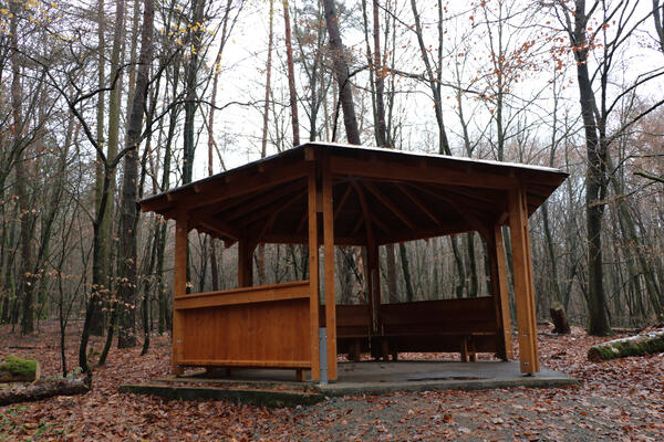 Braune Holz-Hütte als Unterstand im Wald