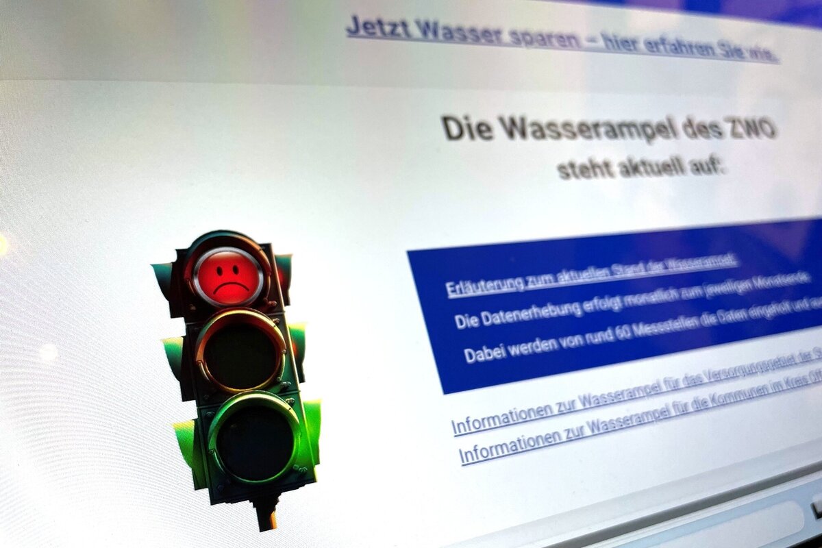 Eine Webseite, auf der eine rot leuchtende Ampel zu sehen ist.