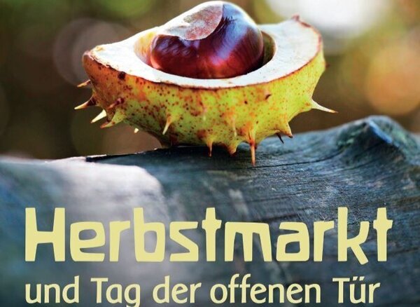 Bild vergr&ouml;&szlig;ern: Herbstmarkt