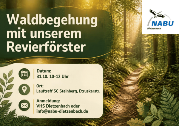 Bild vergr&ouml;&szlig;ern: NABU-Exkursion Waldbegehung mit F&ouml;rster